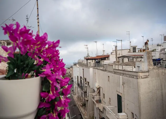 Nivèra White Allure Maison